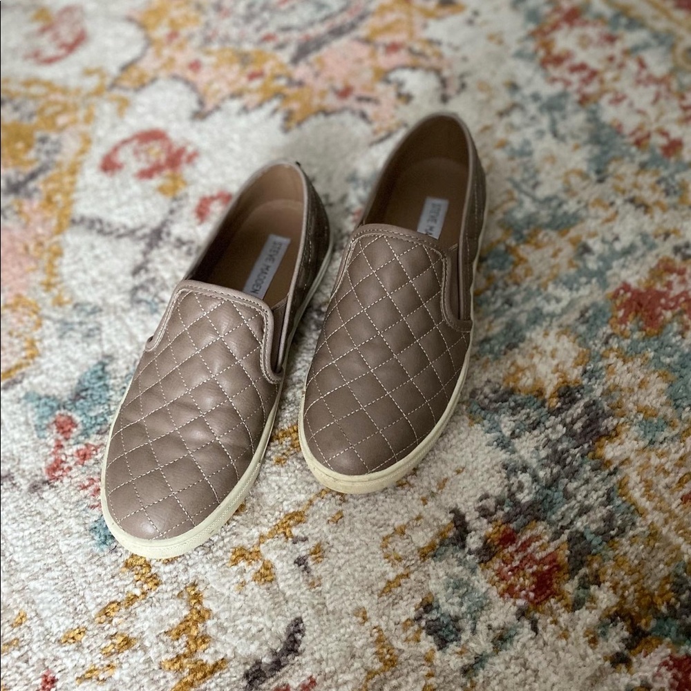 Steve Madden Ecentrcq sneakers